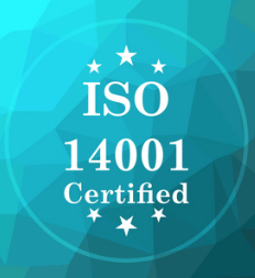 1675923636412507.png image.png